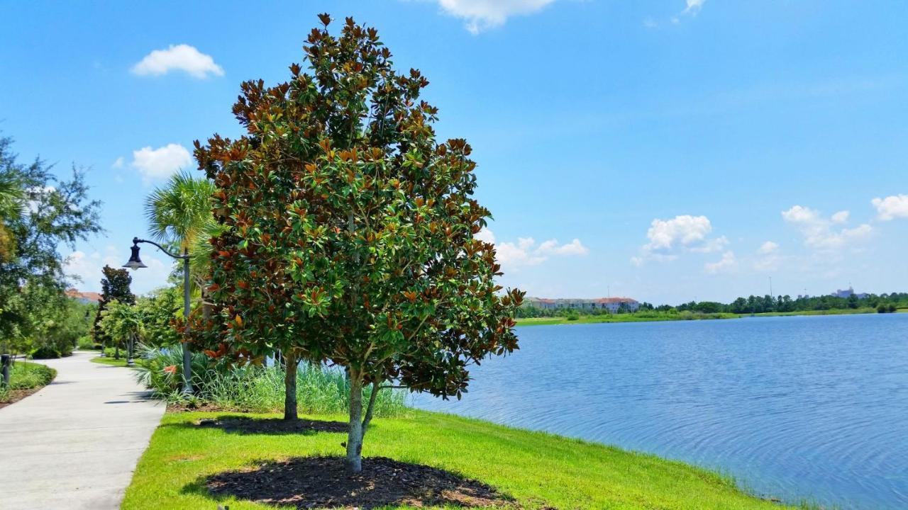 Luxury Vacation In This Gorgeous Vista Cay Condo Kissimmee Exteriör bild